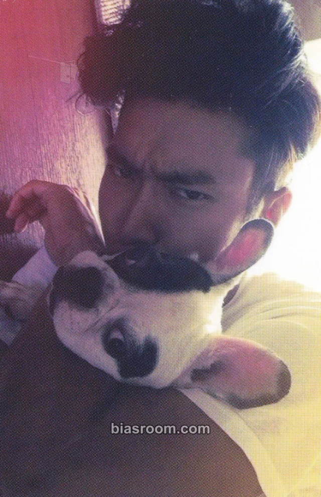 SUPER JUNIOR - Siwon - MAMACITA Album album photocard B version