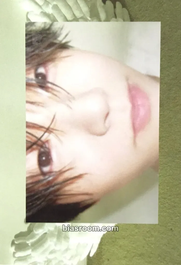 Jaehee Steady Photocard - NCT WISH - NCT WISH K-pop photocard