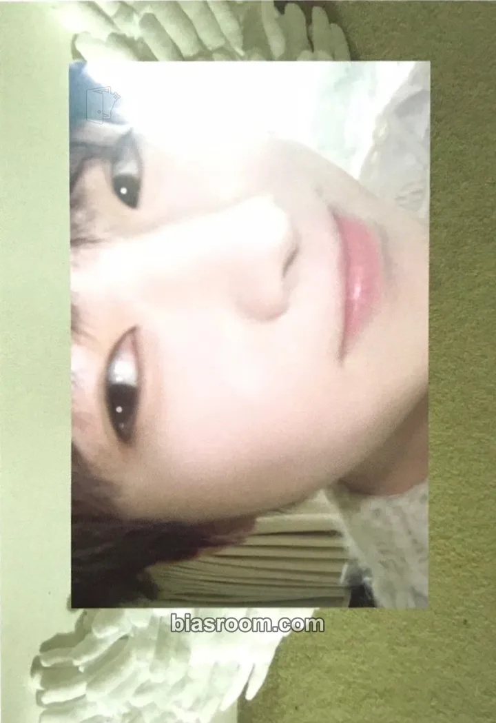 Sakuya Steady Photocard - NCT WISH - NCT WISH K-pop photocard