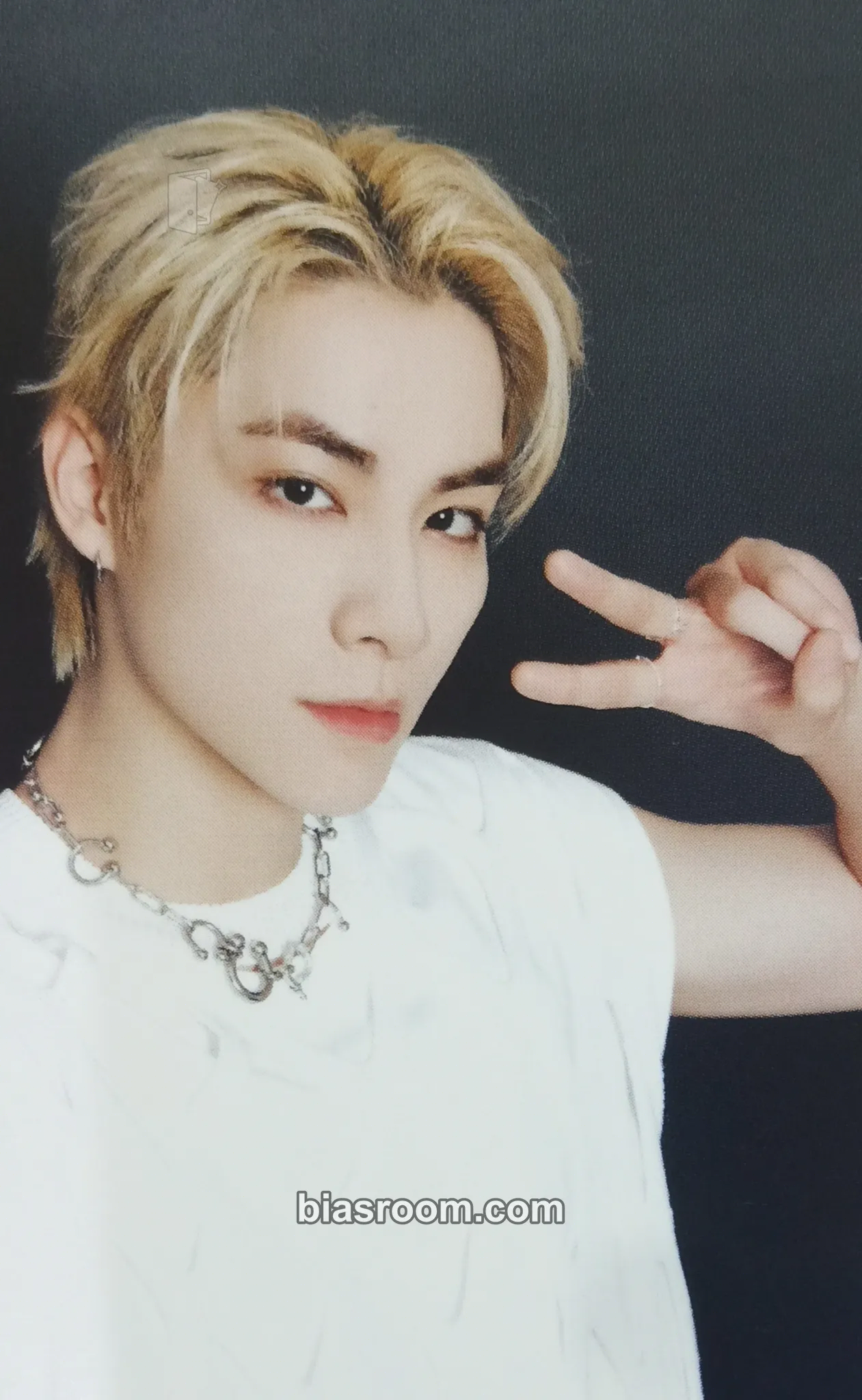 Xiaojun On The Way Concert Photocard - WayV - WayV K-pop photocard
