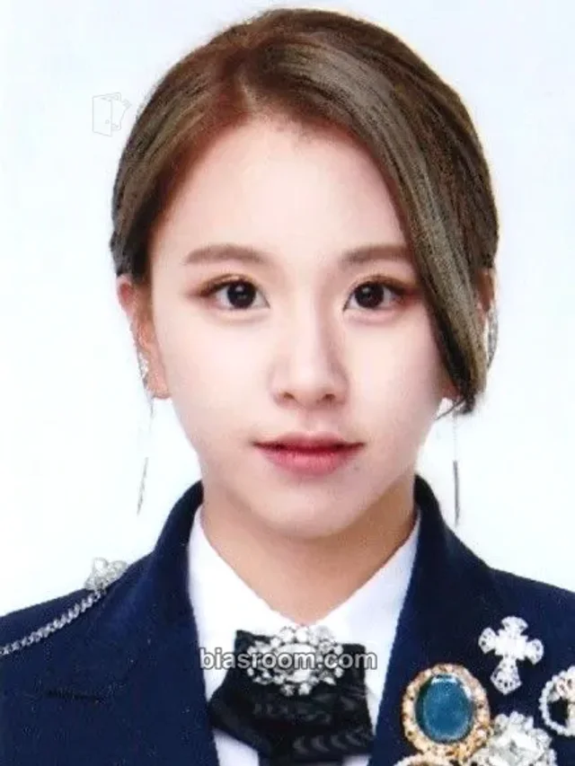 TWICE - Chaeyoung - ONCE Fanclub 2nd Generation Other id photo passport set fanclub
