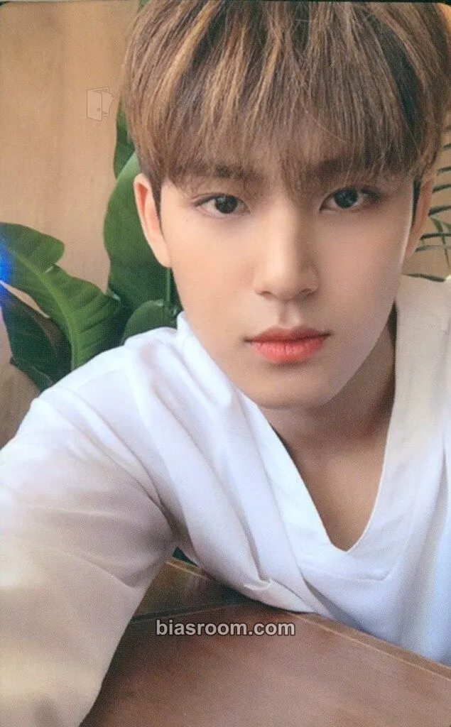 Mingyu Happy Ending Photocard - SEVENTEEN - SEVENTEEN K-pop photocard