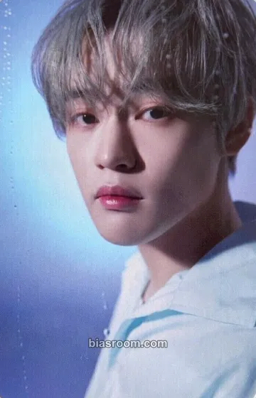 Chenle Starry Daydream Photocard - NCT DREAM - NCT DREAM K-pop photocard