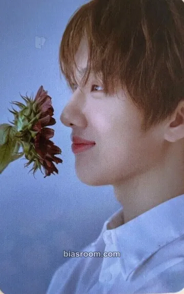 Jisung Starry Daydream Photocard - NCT DREAM - NCT DREAM K-pop photocard