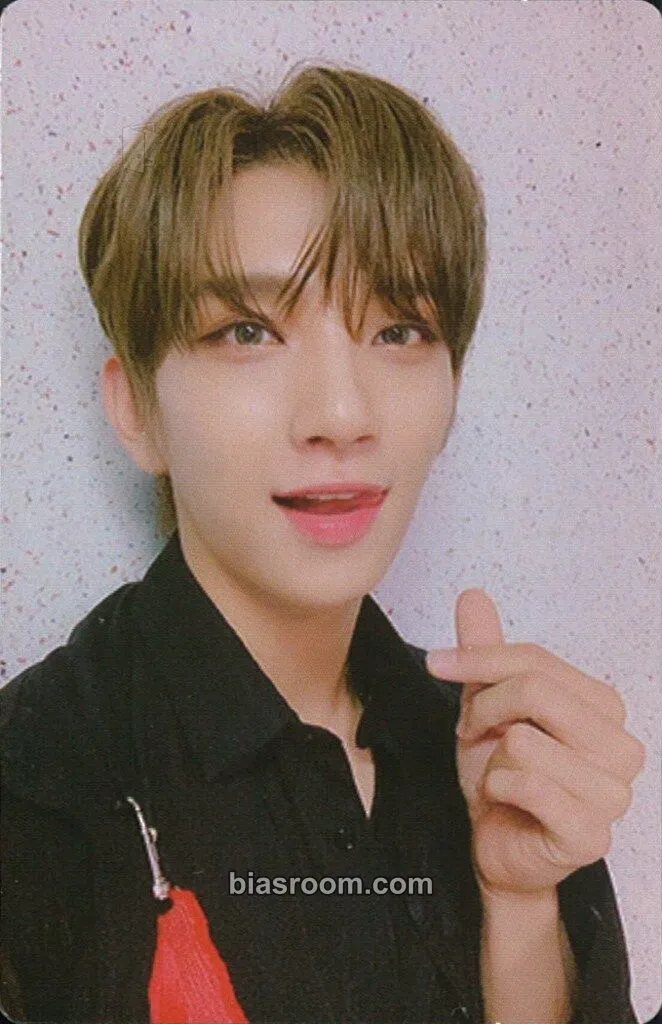 Joshua An Ode Photocard - SEVENTEEN - SEVENTEEN K-pop photocard