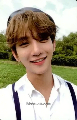 Joshua An Ode Photocard - SEVENTEEN - SEVENTEEN K-pop photocard