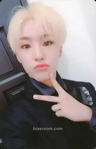 Hoshi An Ode Photocard - SEVENTEEN - SEVENTEEN K-pop photocard