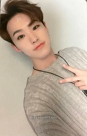 Hoshi An Ode Photocard - SEVENTEEN - SEVENTEEN K-pop photocard