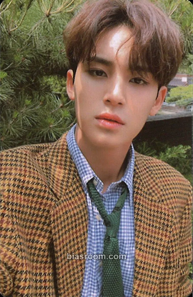 Mingyu An Ode Photocard - SEVENTEEN - SEVENTEEN K-pop photocard