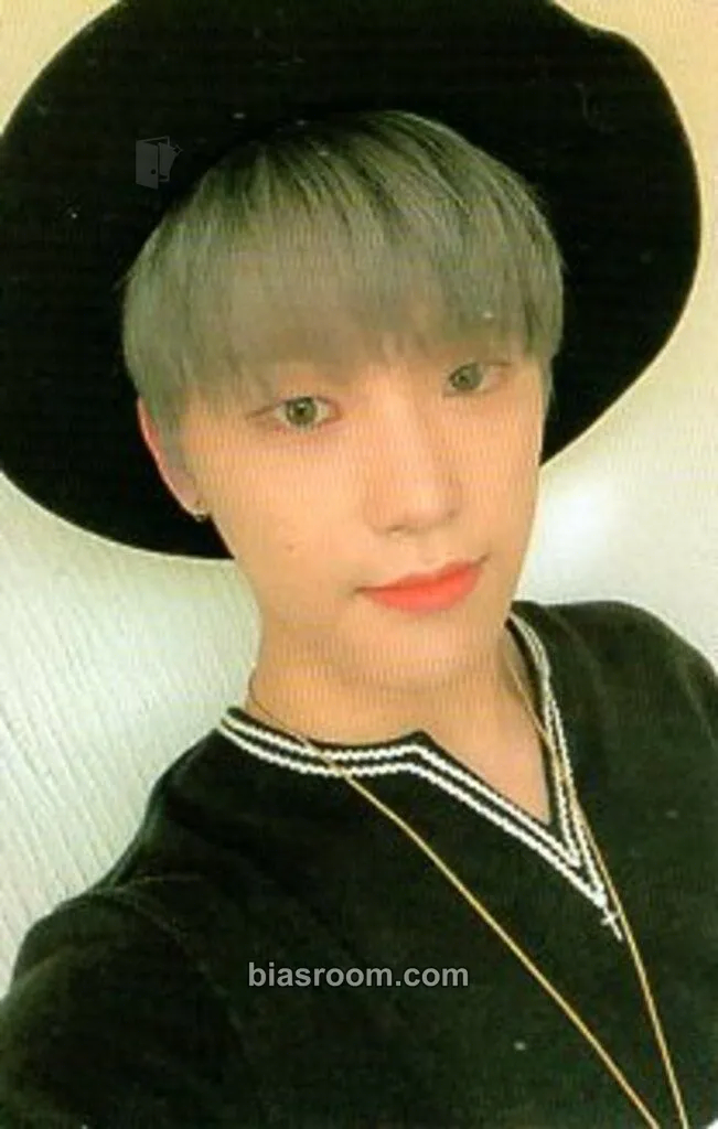 Dino An Ode Photocard - SEVENTEEN - SEVENTEEN K-pop photocard