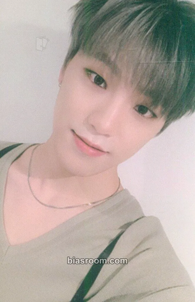 Dino An Ode Photocard - SEVENTEEN - SEVENTEEN K-pop photocard