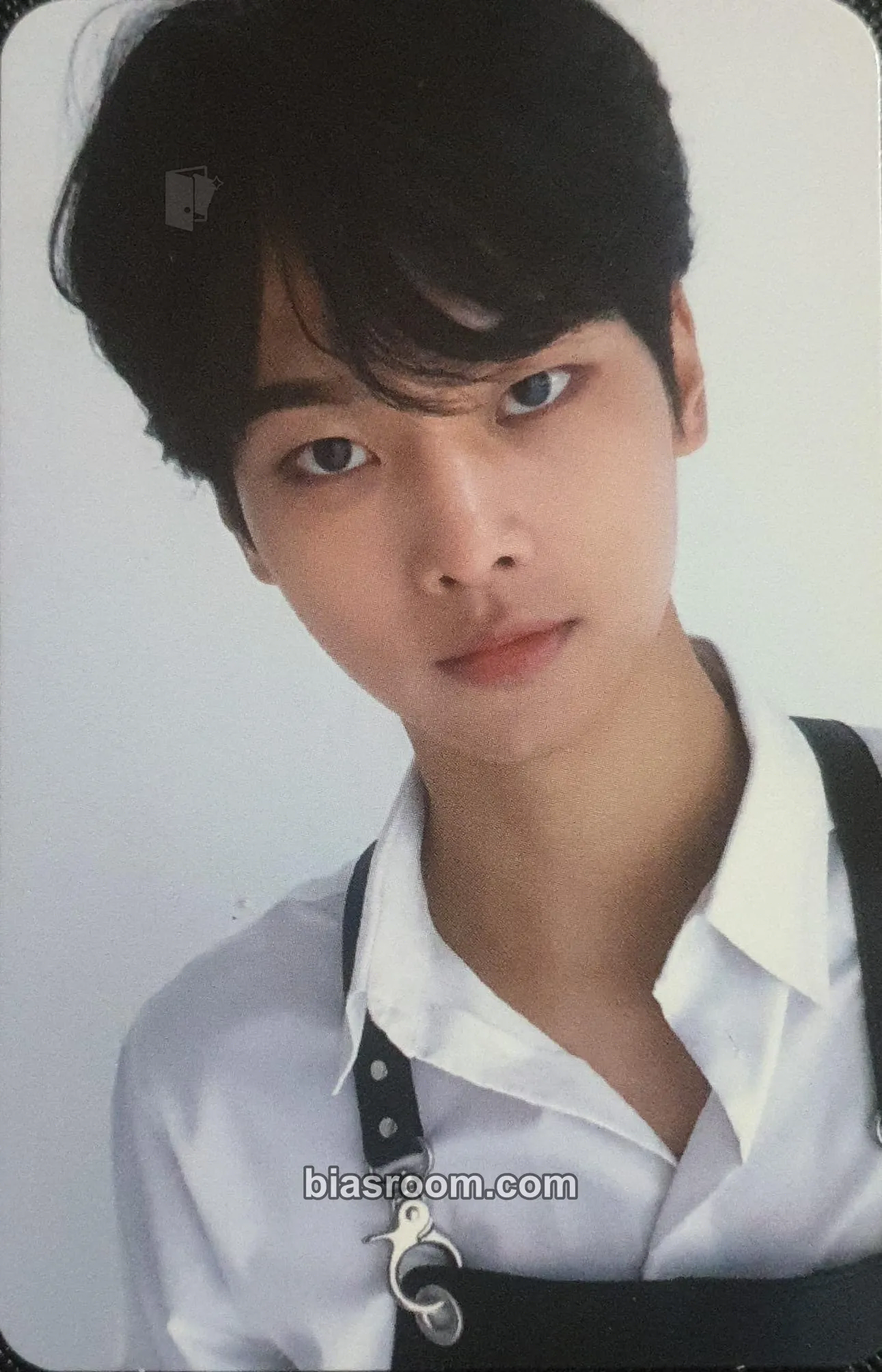 N Eau de VIXX Photocard - VIXX - VIXX K-pop photocard