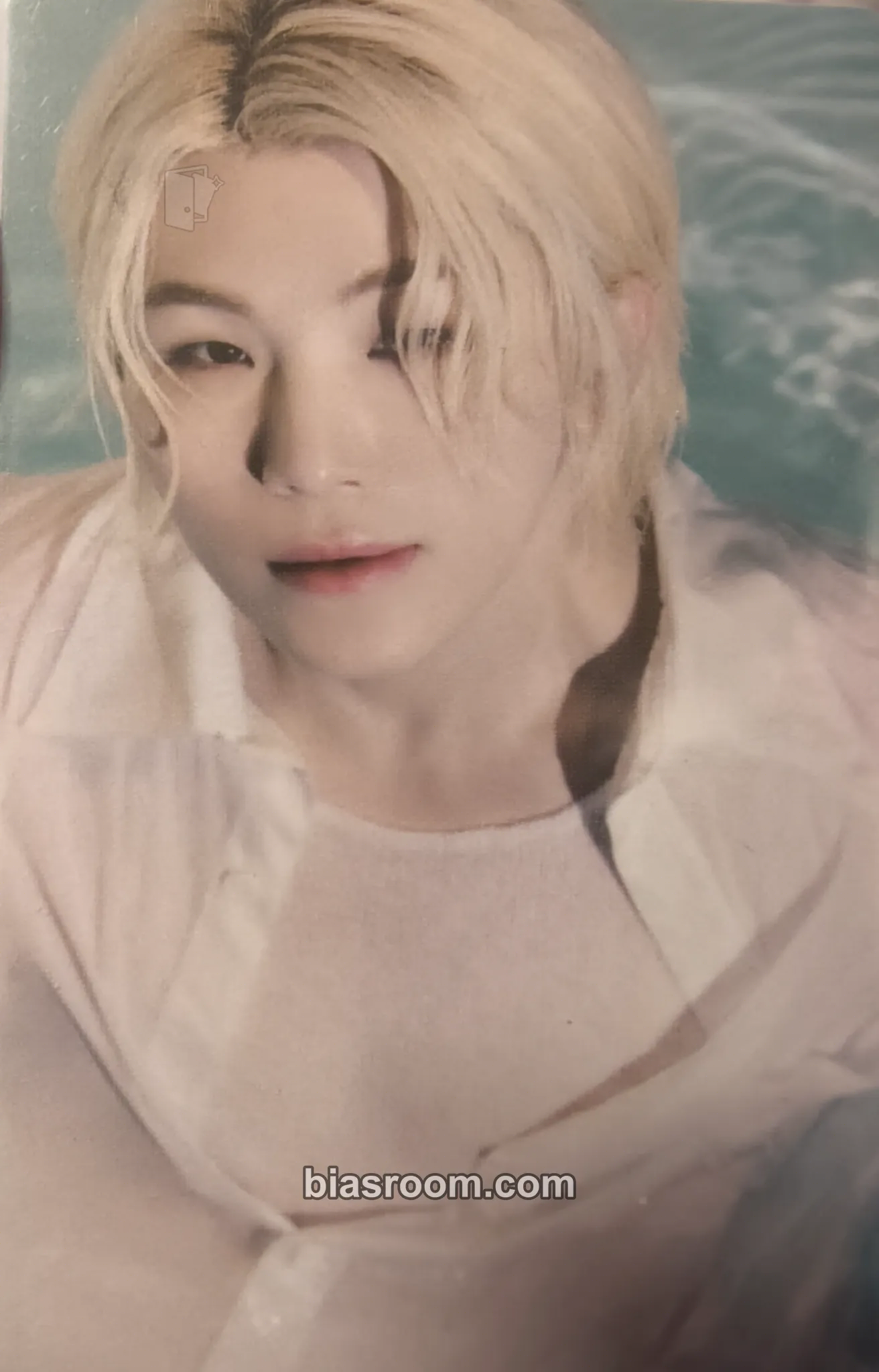 Woozi Spill the Feels Photocard - SEVENTEEN - SEVENTEEN K-pop photocard