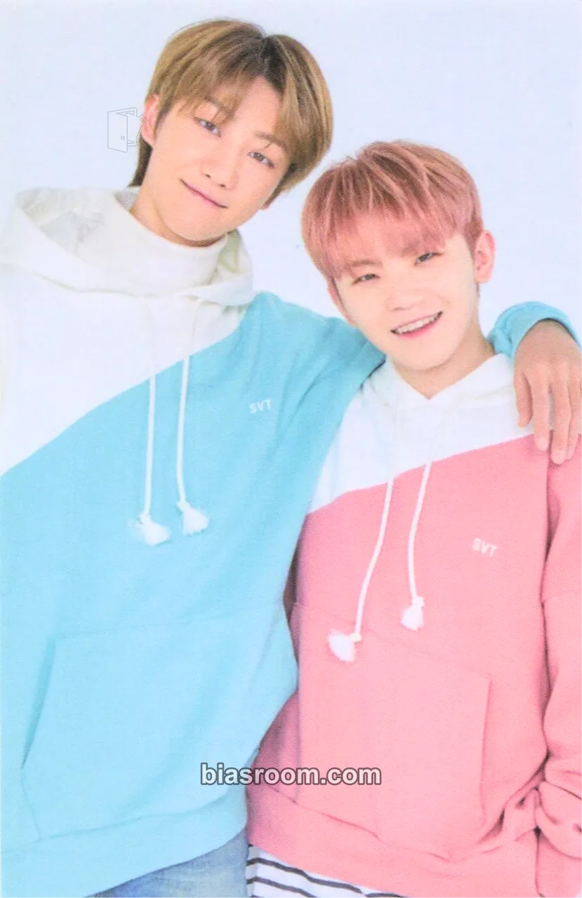 2020 4TH SVT IN CARAT LAND Photocard - SEVENTEEN - SEVENTEEN K-pop photocard