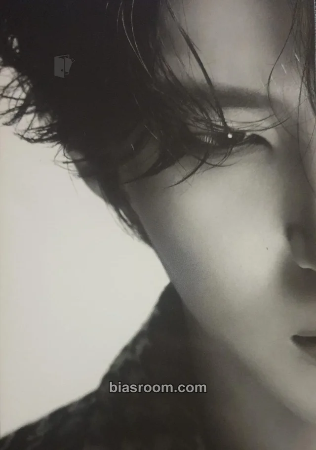 VIXX - Leo - Beautiful Liar (VIXX LR) Album postcard