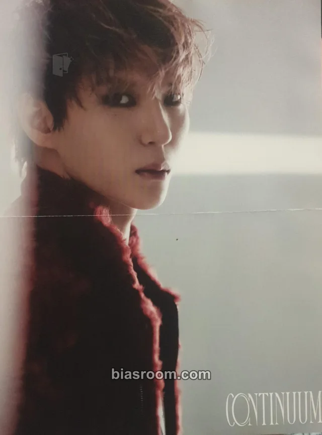 VIXX - Leo - Continuum Album album inclusion mini poster