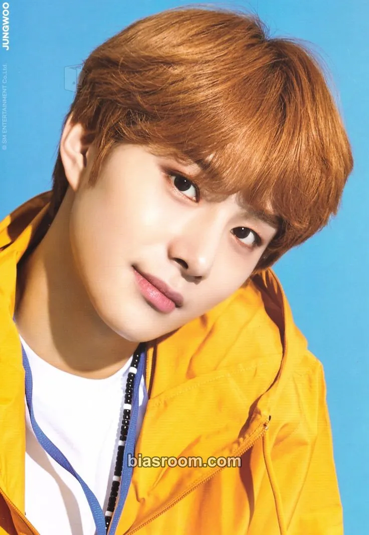 Jungwoo 2019 Season’s Greetings Photocard - NCT - NCT K-pop photocard