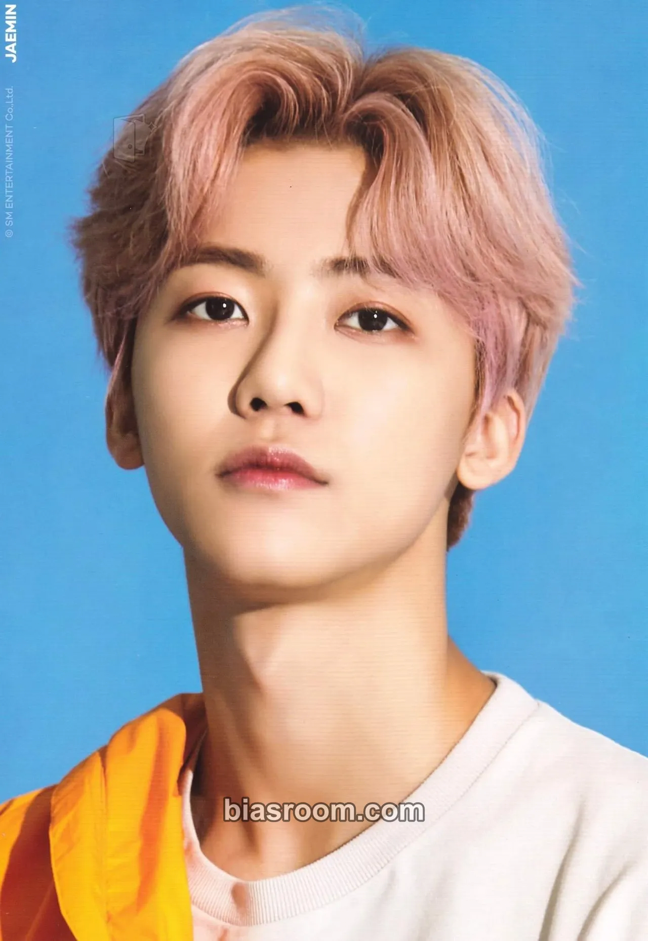 Jaemin 2019 Season’s Greetings Photocard - NCT - NCT K-pop photocard