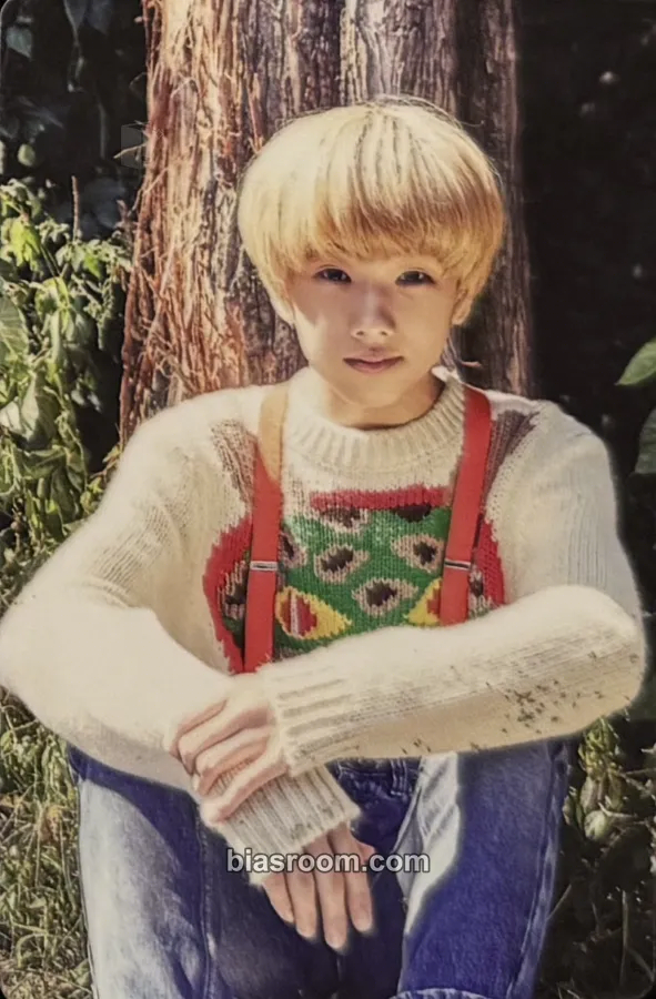Jisung 2017 Season's Greetings Photocard - NCT - NCT K-pop photocard