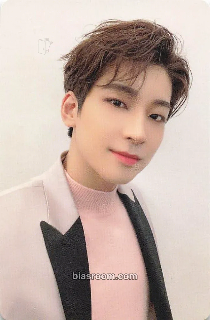 Wonwoo Not Alone Photocard - SEVENTEEN - SEVENTEEN K-pop photocard
