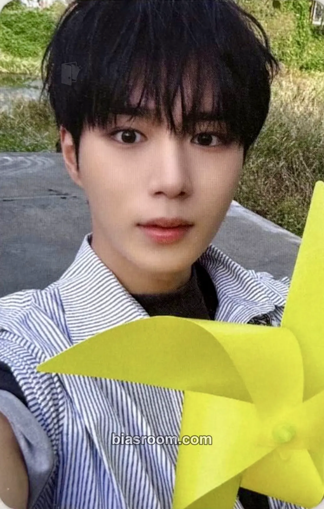 Junseo EUPHORIA Photocard - ALPHA DRIVE ONE - ALPHA DRIVE ONE K-pop photocard