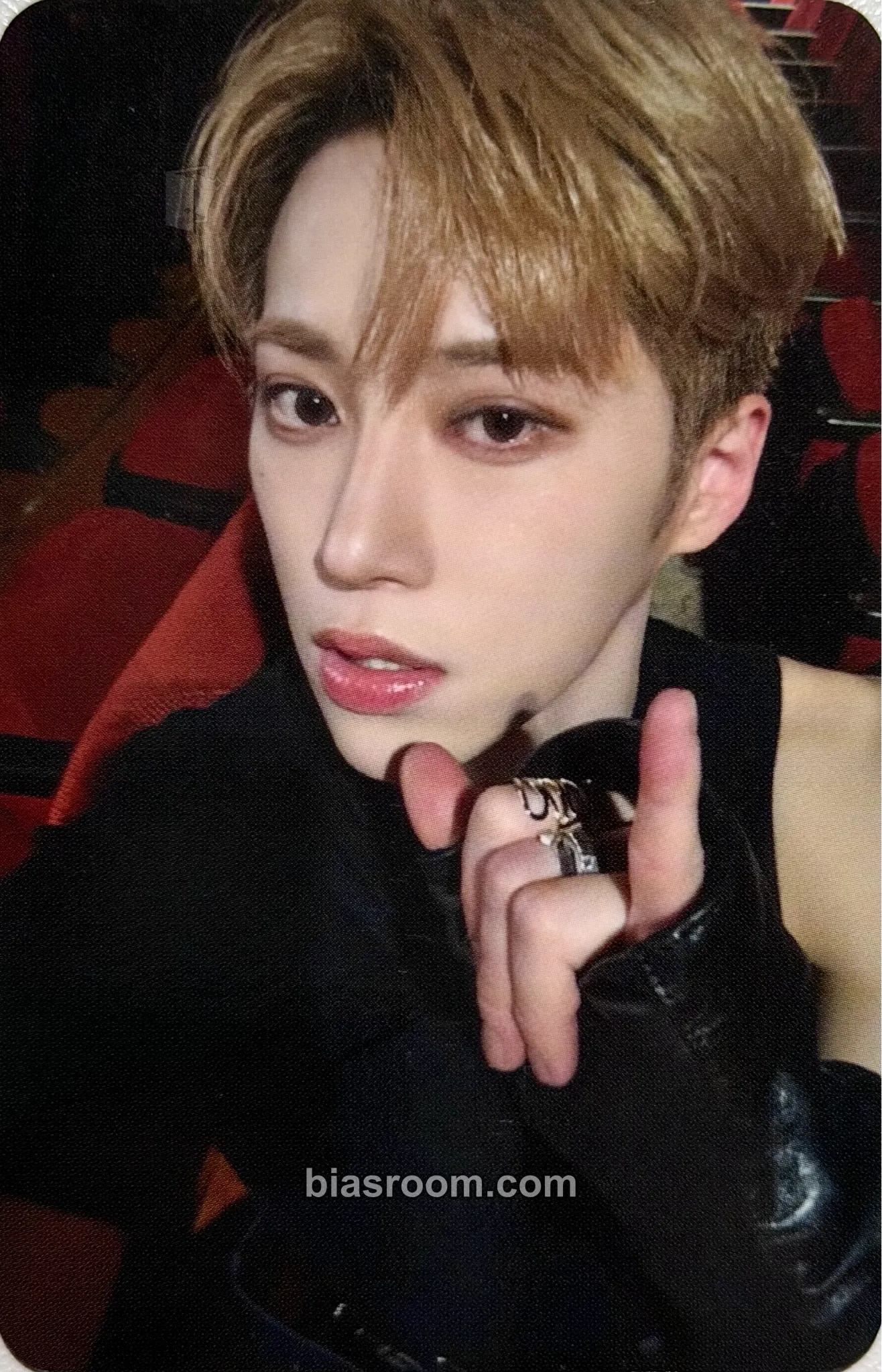 Arno EUPHORIA Photocard - ALPHA DRIVE ONE - ALPHA DRIVE ONE K-pop photocard