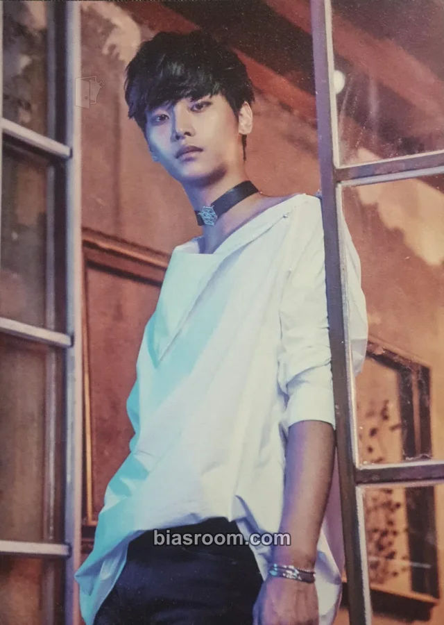 VIXX - N - Chained Up Album freedom version album inclusion instructions