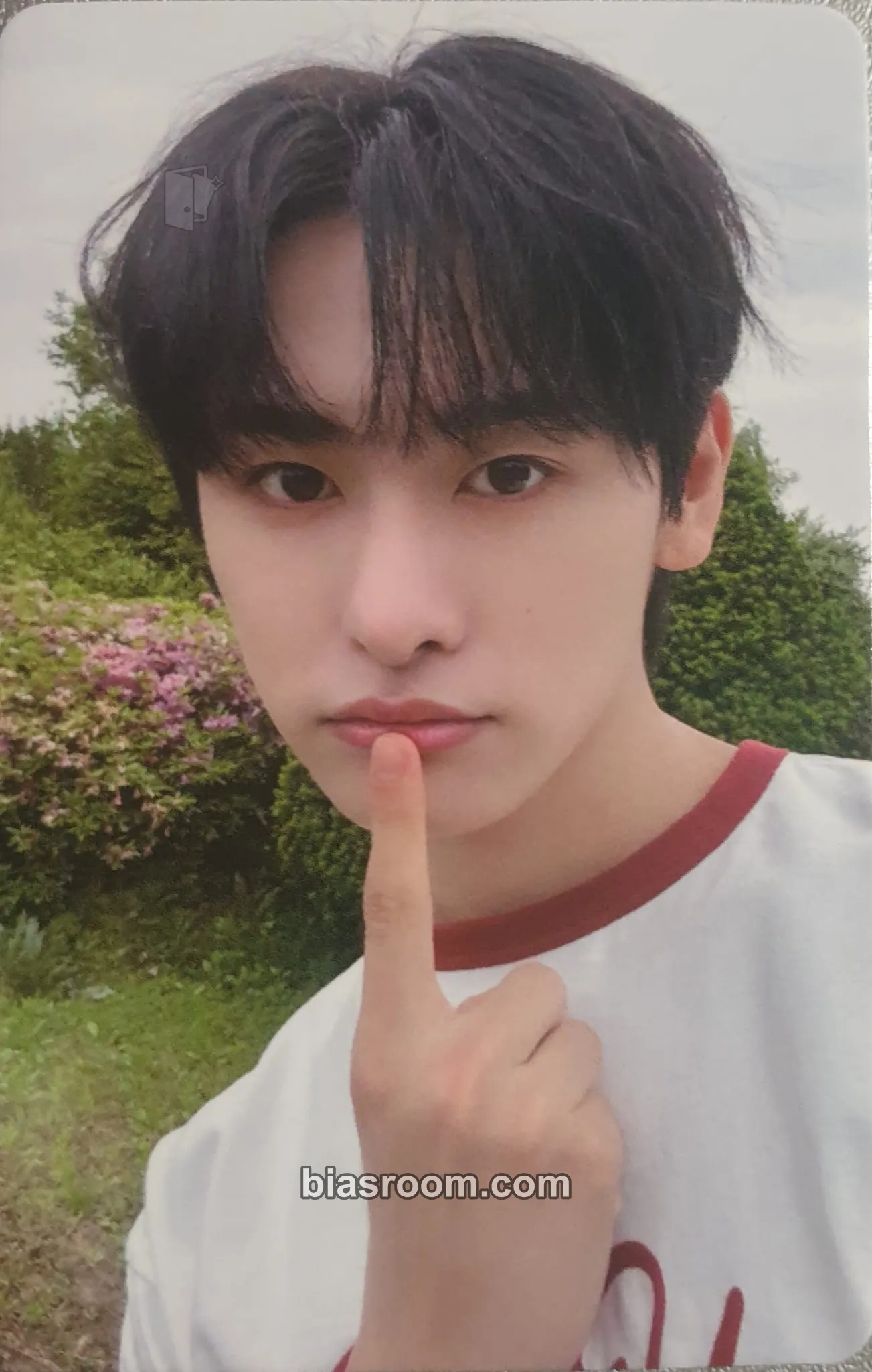 Eunil DREAM LIKE Photocard - TRENDZ - TRENDZ K-pop photocard
