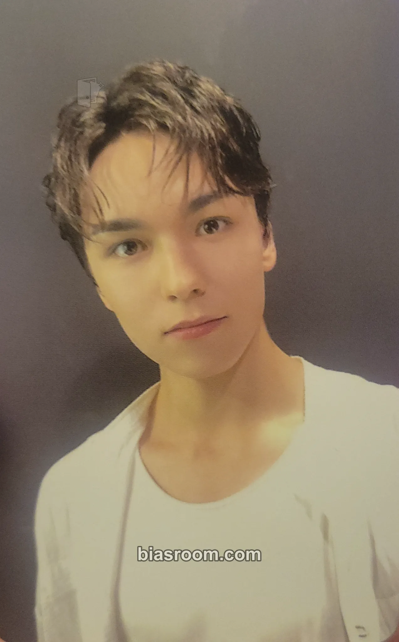Vernon Spill the Feels Photocard - SEVENTEEN - SEVENTEEN K-pop photocard