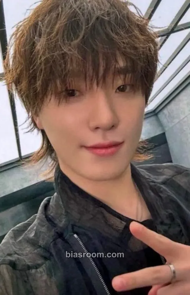 SEVENTEEN - Dino - [NEW_] World Tour Event japan purchase benefit weverse japan shop (wvj)