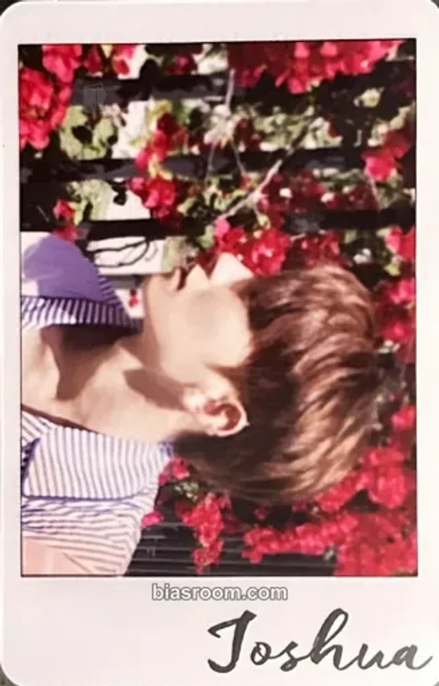 SEVENTEEN - Joshua - Al1 Album album photocard 13 all version