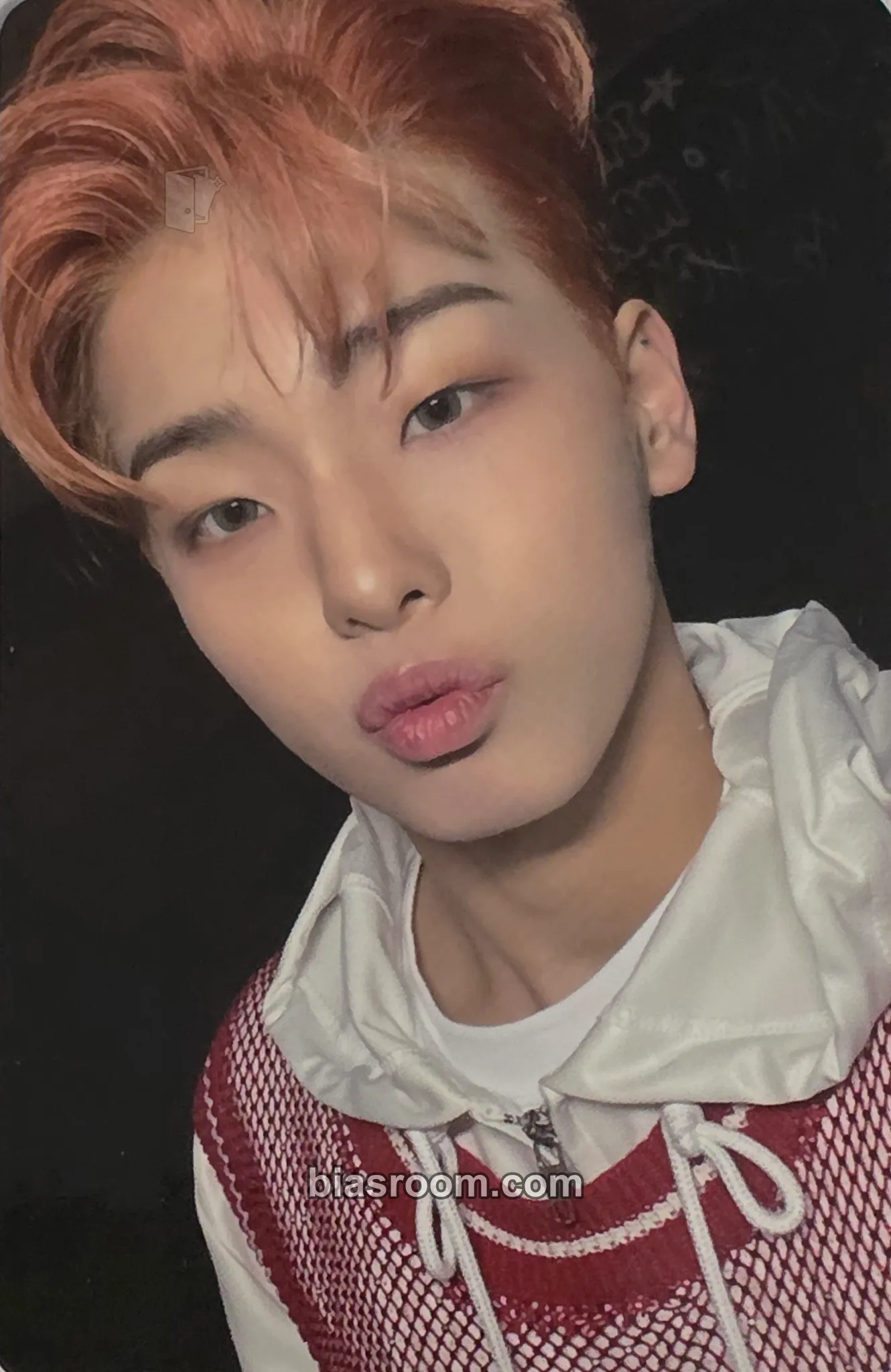 Dogyun Beat by 82 Photocard - 82Major - 82Major K-pop photocard