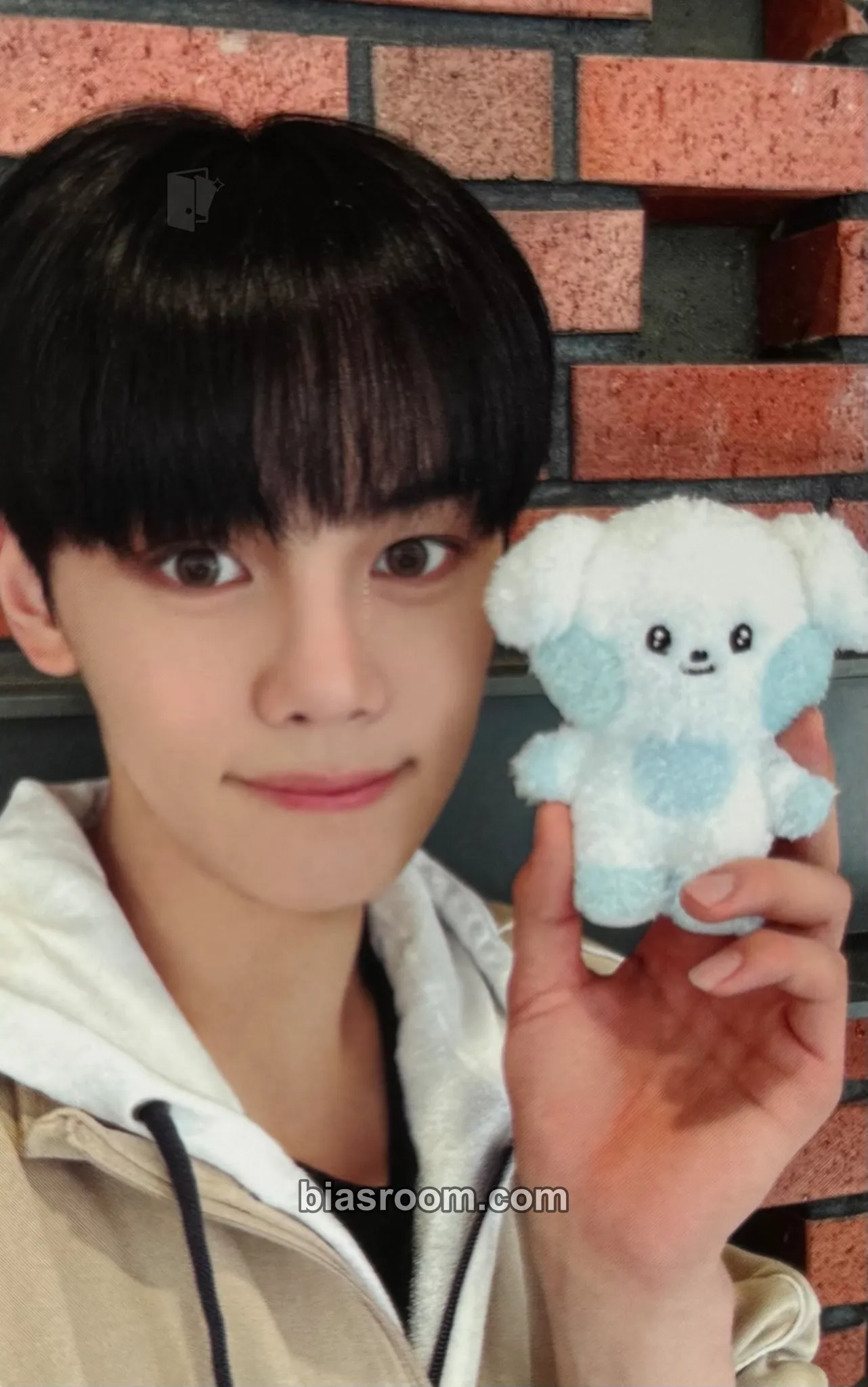 Gyuvin ZB1 x LINE FRIENDS Photocard - ZEROBASEONE - ZEROBASEONE K-pop photocard