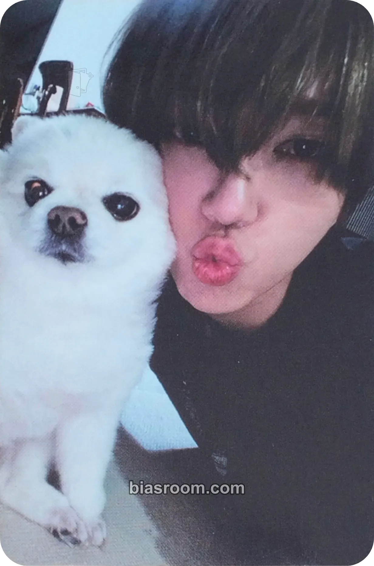 Yesung Sensory Flows (Yesung Solo) Photocard - SUPER JUNIOR - SUPER JUNIOR K-pop photocard