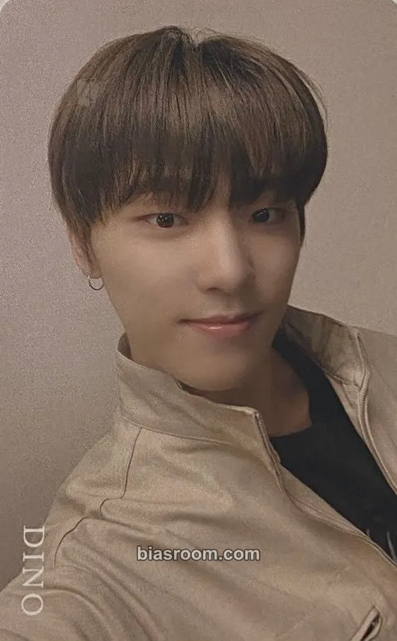 Dino An Ode Photocard - SEVENTEEN - SEVENTEEN K-pop photocard