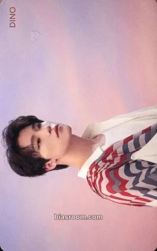 Dino Fallin' Flower Photocard - SEVENTEEN - SEVENTEEN K-pop photocard