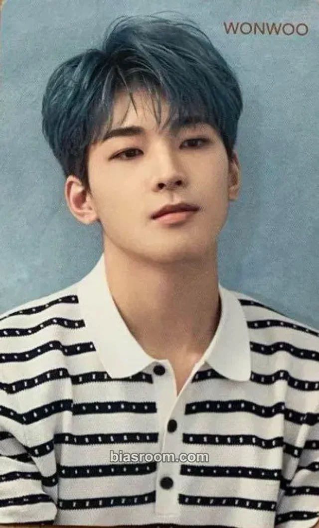 SEVENTEEN - Wonwoo - Falling Flower Album hmv pob (pre-order benefit)