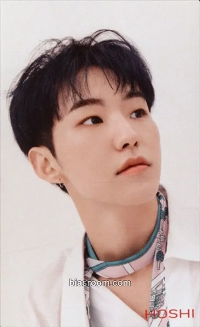 SEVENTEEN - Hoshi - 24H Album hmv thanks campaign