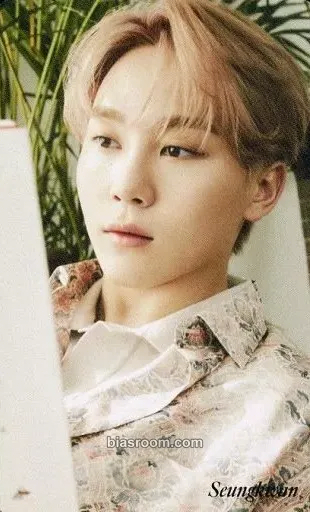 Seungkwan Your Choice Photocard - SEVENTEEN - SEVENTEEN K-pop photocard