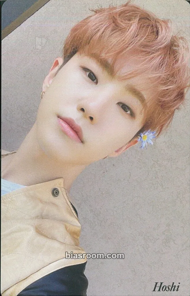 Hoshi Your Choice Photocard - SEVENTEEN - SEVENTEEN K-pop photocard