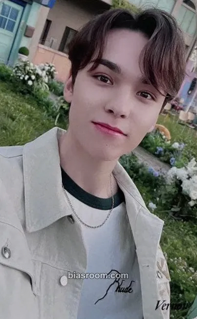 Vernon Your Choice Photocard - SEVENTEEN - SEVENTEEN K-pop photocard