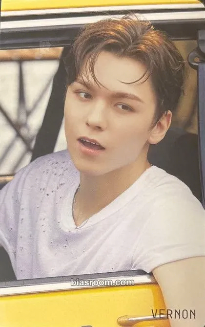 Vernon SECTOR 17 Photocard - SEVENTEEN - SEVENTEEN K-pop photocard