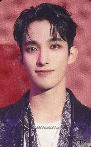 DK Seventeenth Heaven Photocard - SEVENTEEN - SEVENTEEN K-pop photocard