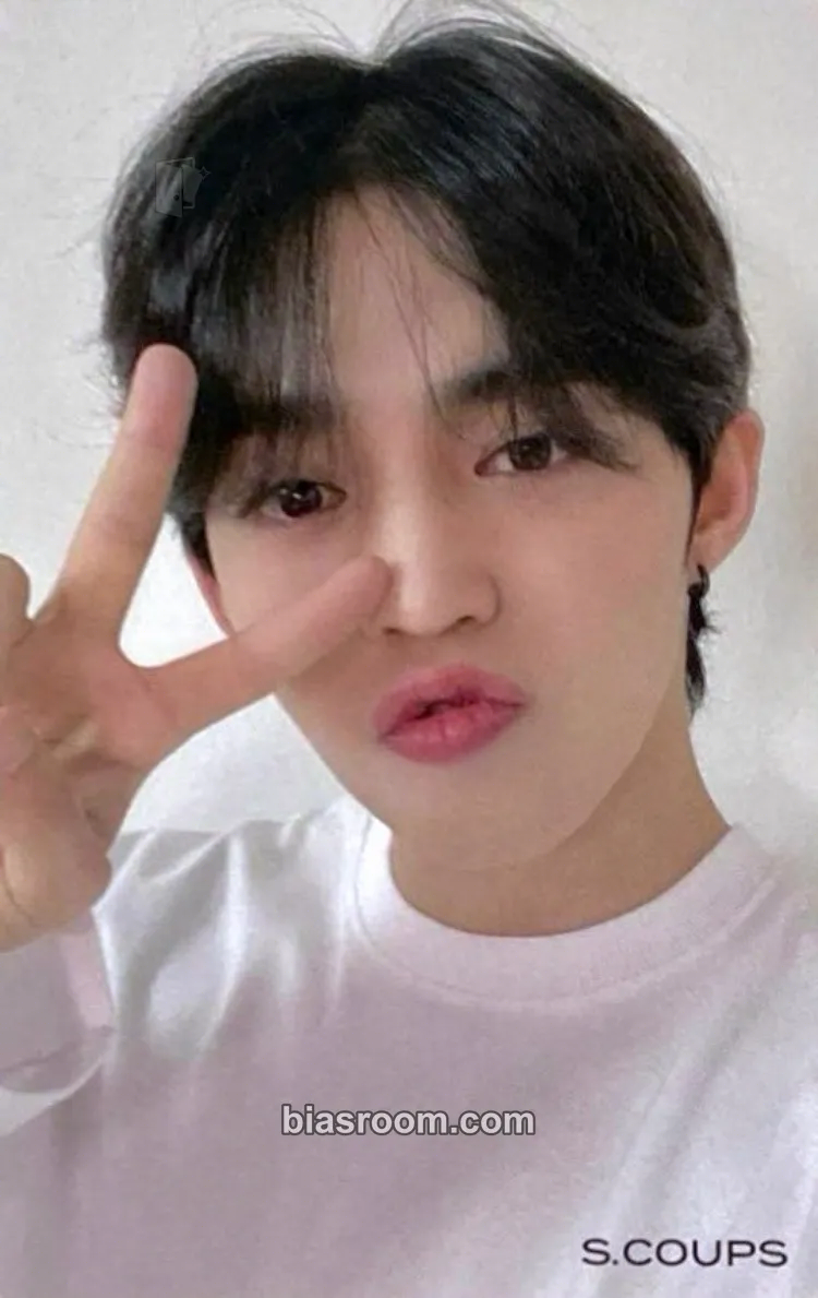 S.Coups Not Alone Photocard - SEVENTEEN - SEVENTEEN K-pop photocard
