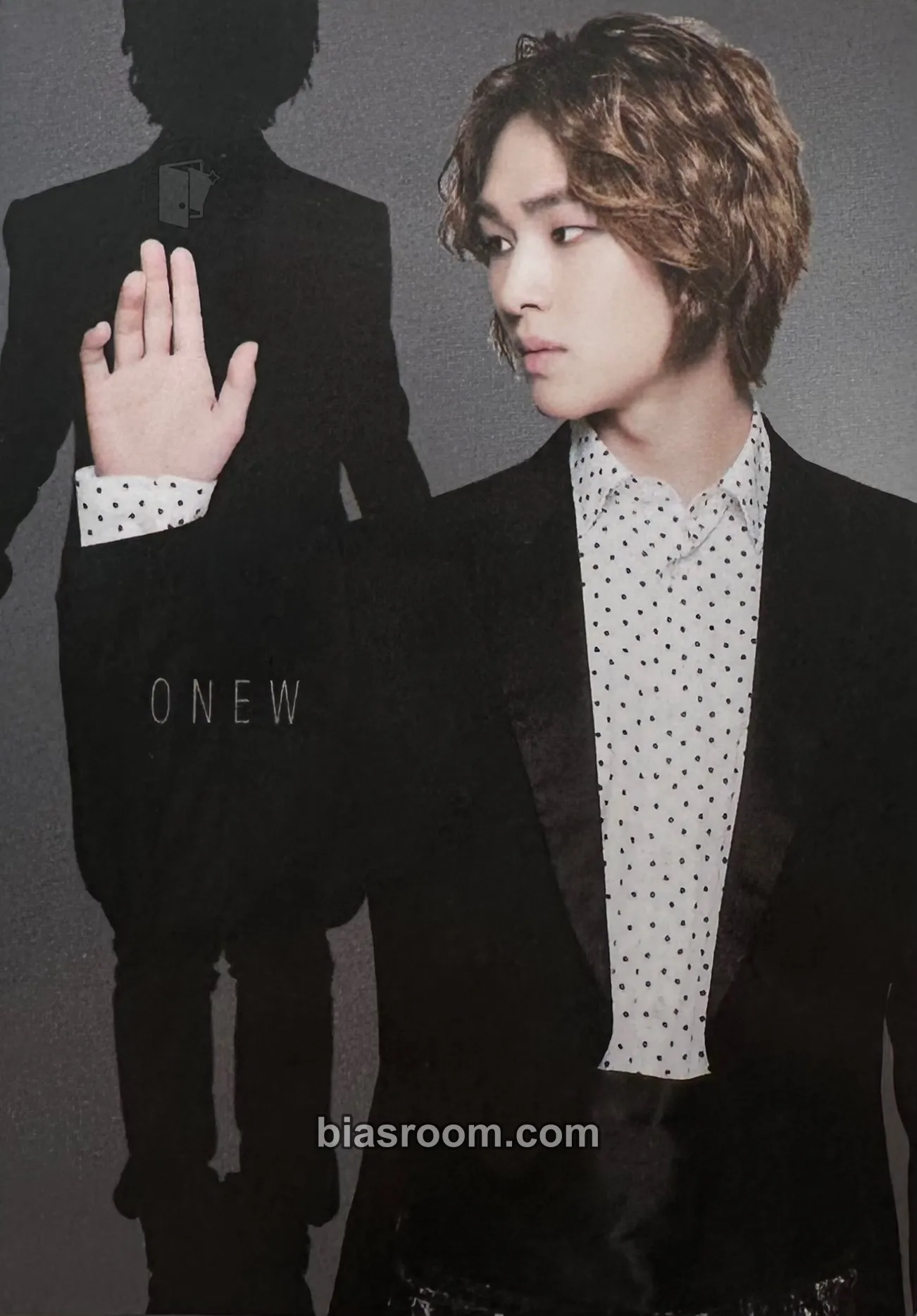 Onew SHINee in Wonderland Photocard - SHINee - SHINee K-pop photocard