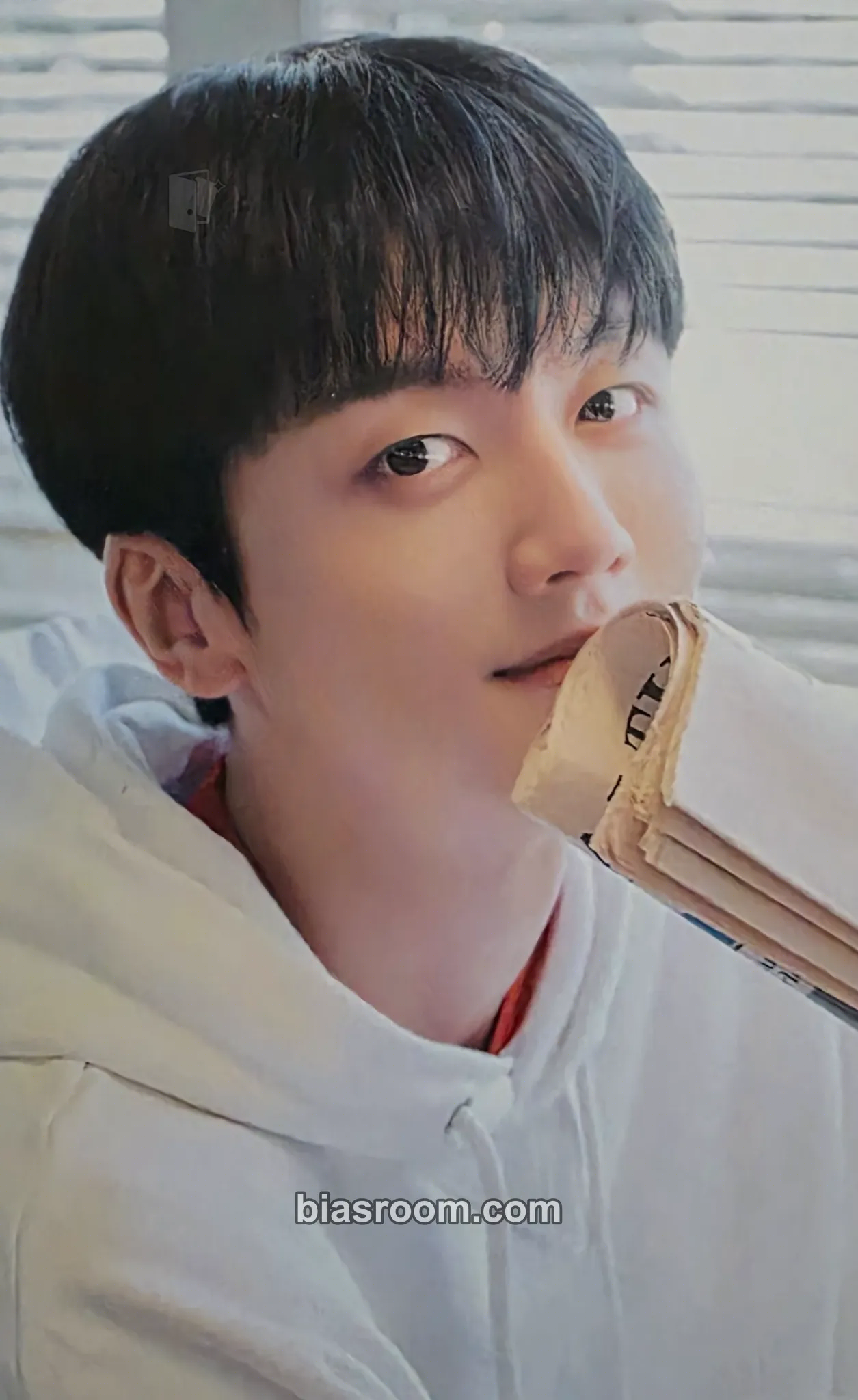 Youngbin D.W.B.H Photocard - SF9 - SF9 K-pop photocard