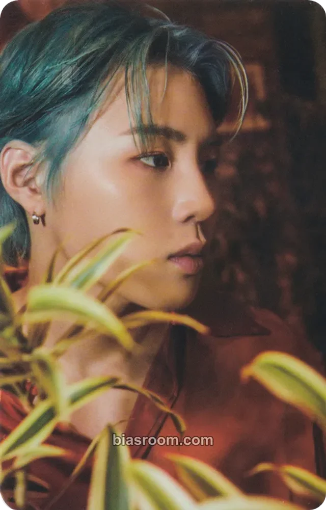 Ha Sung Woon - Ha Sung Woon - Select Shop Album album photocard