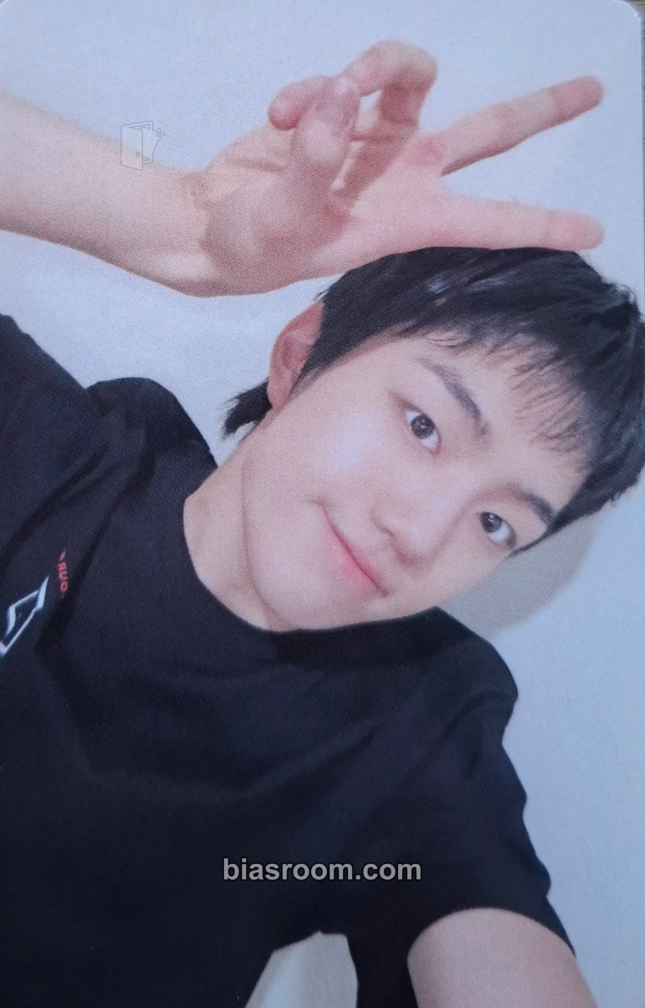 Park Jihoo 2025 EVNNE CONCERT ‘SET N GO’ Photocard - EVNNE - EVNNE K-pop photocard