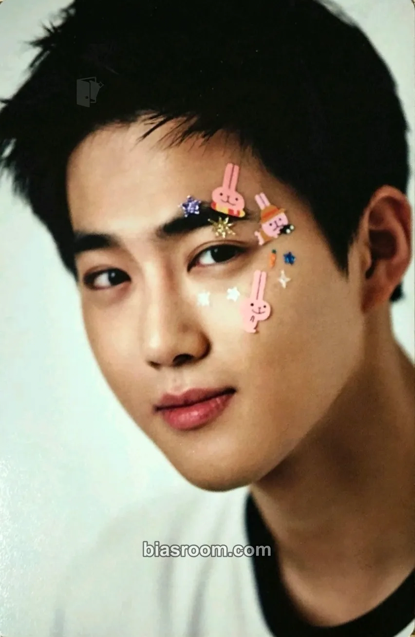 Suho 2016 EXO Season's Greetings Photocard - EXO - EXO K-pop photocard