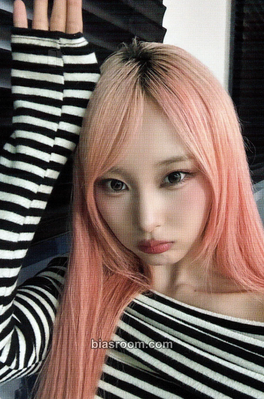 Chowon Wild Cherry Photocard - ICHILLIN’ - ICHILLIN’ K-pop photocard